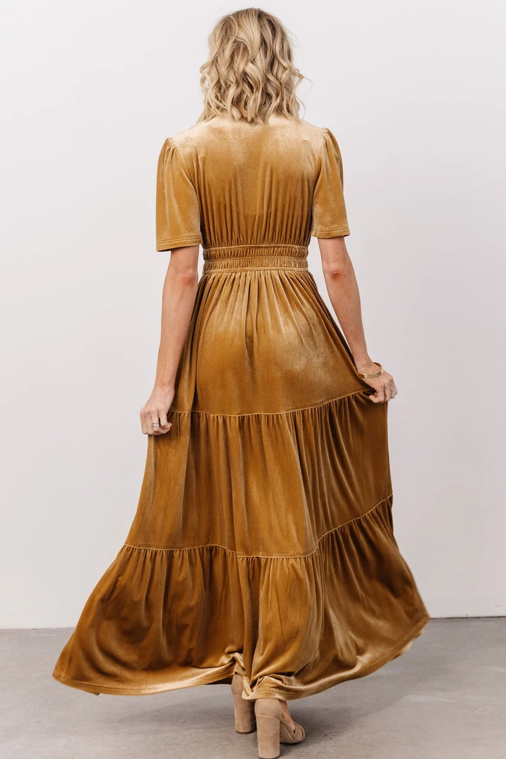 RR Dresses Artemis Velvet Maxi Dress | French Gold 3 RR Dresses Artemis Velvet Maxi Dress | French Gold