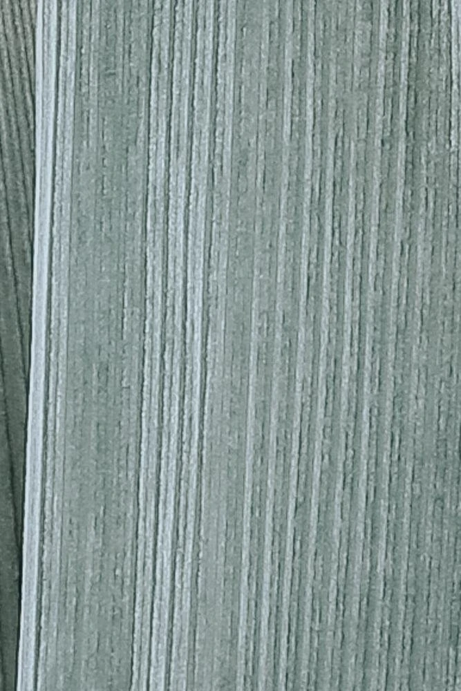 Baltic Born Fabric Swatch - Andi Ribbed Velvet | Dusty Sage Fabric Swatches 1 Baltic Born Fabric Swatch - Andi Ribbed Velvet | Dusty Sage Fabric Swatches