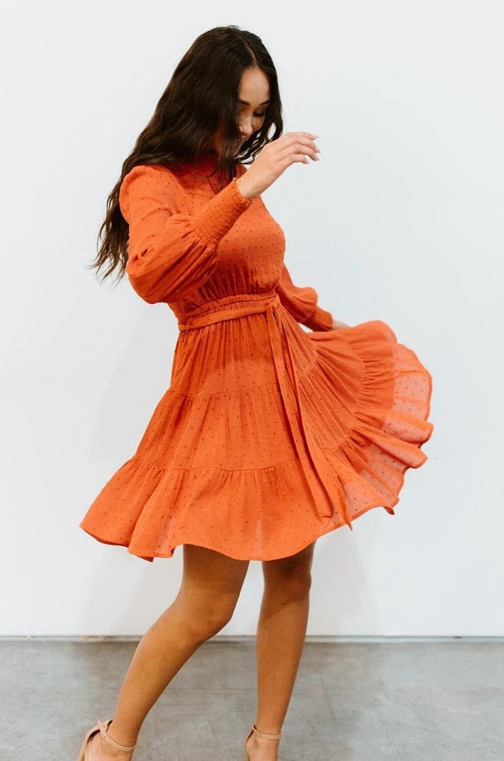 IL Kayla Dotted Mini Dress | Rust 4 IL Kayla Dotted Mini Dress | Rust