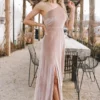 BB Custom Tatiana Velvet One Shoulder Maxi Dress | Champagne Dresses